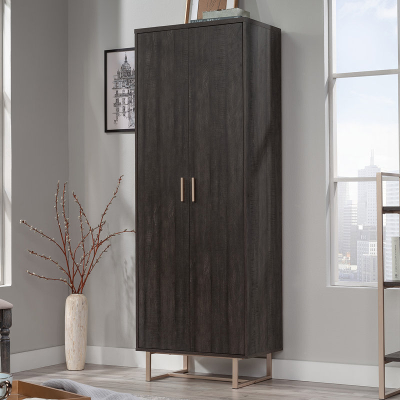 Wayfair shelf storage cabinet discount